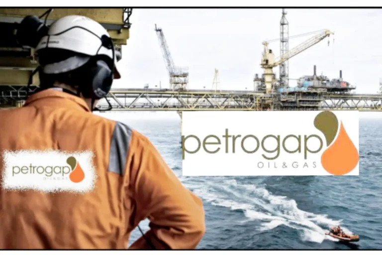 Call for Applications: Graduate Internship at Petrogap Oil and Gas Limited 2025