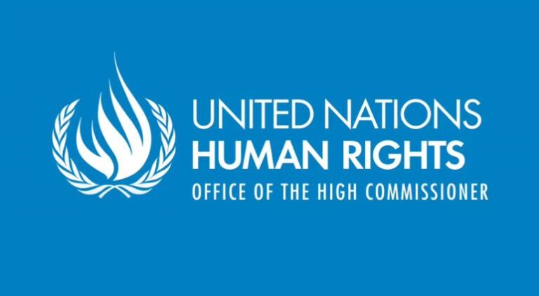Office of the High Commissioner for Human Rights (UN OHCHR) Minorities Fellowship Programme 2026 (Fully Funded to Geneva, Switzerland)
