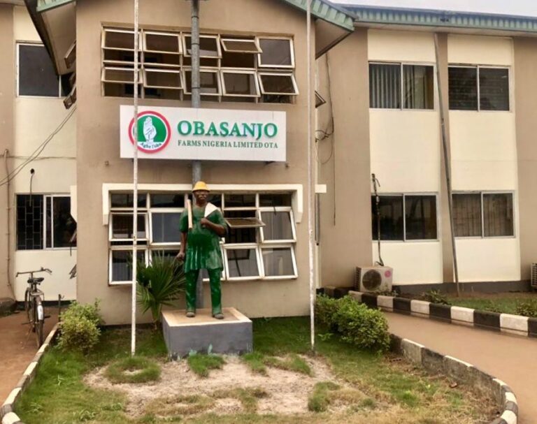 Apply for Obasanjo Farms Nigeria Recruitment 2026