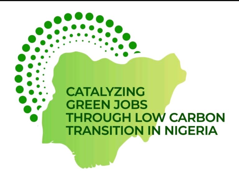 Nigeria Launches Youth Green Jobs Fellowship  to Power Renewable  Energy SKills 