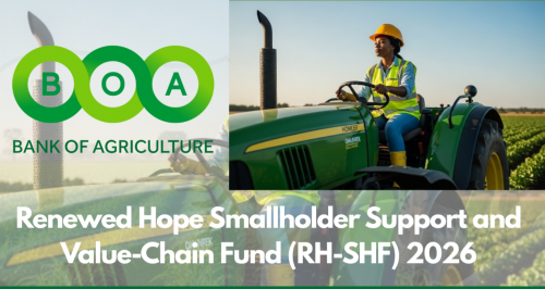 Renewed Hope Smallholder Support and Value-Chain Fund (RH-SHF) is now accepting Application