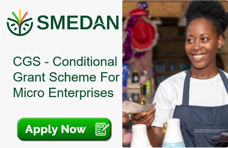 Apply For FG SMEDAN CGS 50k Grant For Micro Businesses